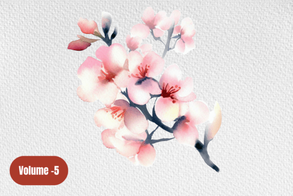 Download Cherry Blossom Pink Watercolor Clipart - Premium Resources