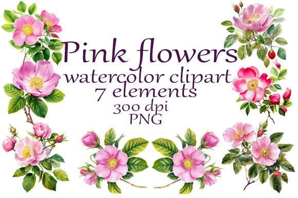 Download Roses Pink Watercolor Clipart PNG - Premium Resources