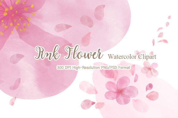 Download Cherry Blossom Pink Watercolor Clipart - Premium Resources